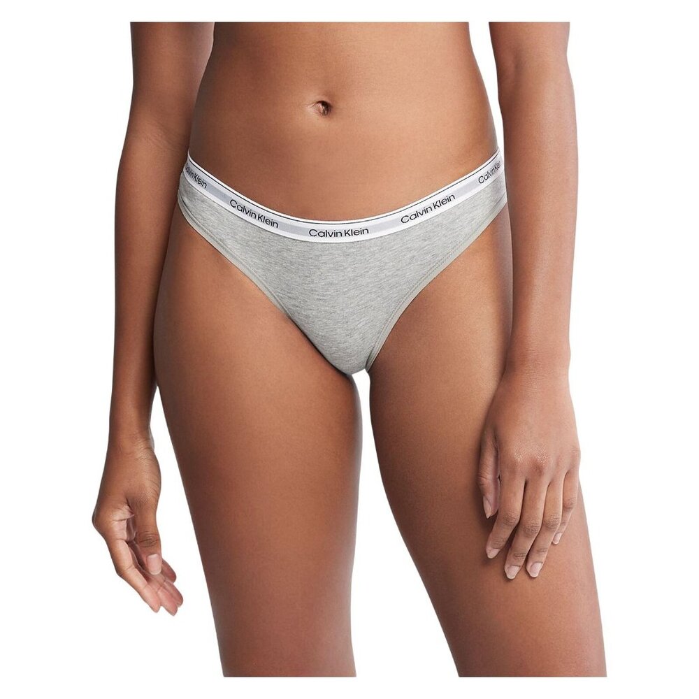 NWT Calvin Klein Womens Modern Logo Bikini Panty QD5044 Gray XS